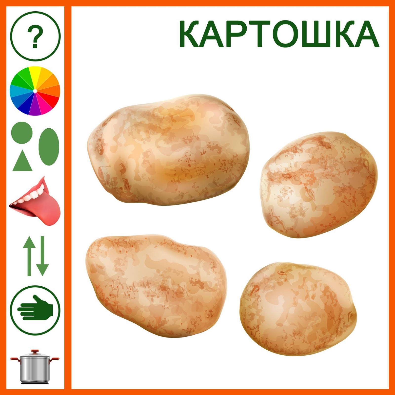 Карточки продуктов для детей картошка